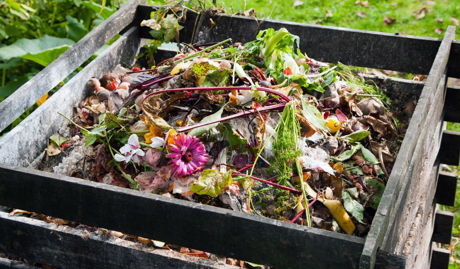 Compost, Compost, Compost.