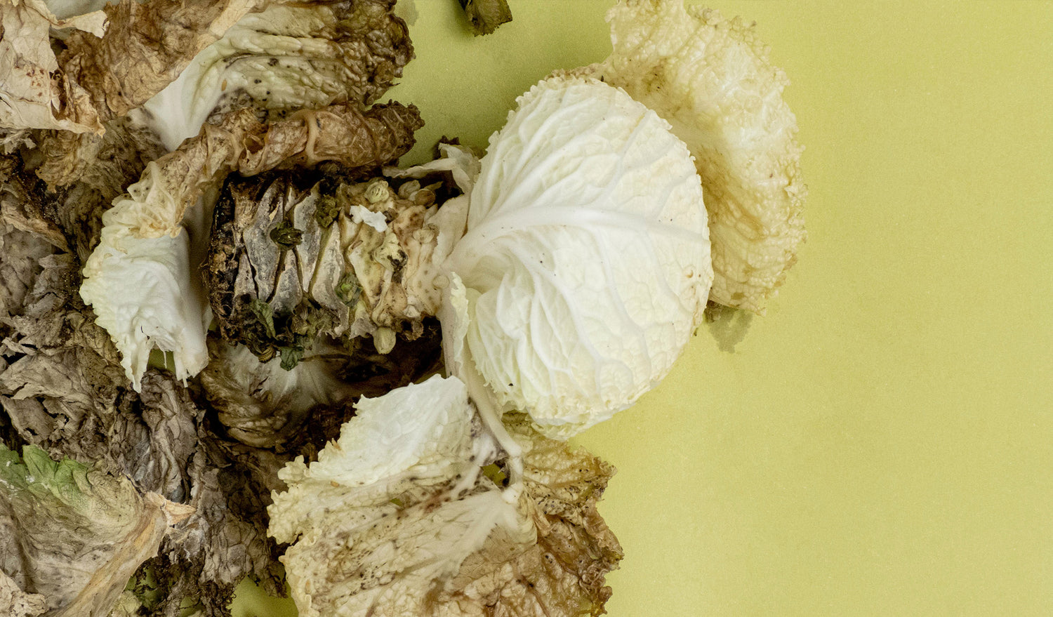 Preventing Food Waste