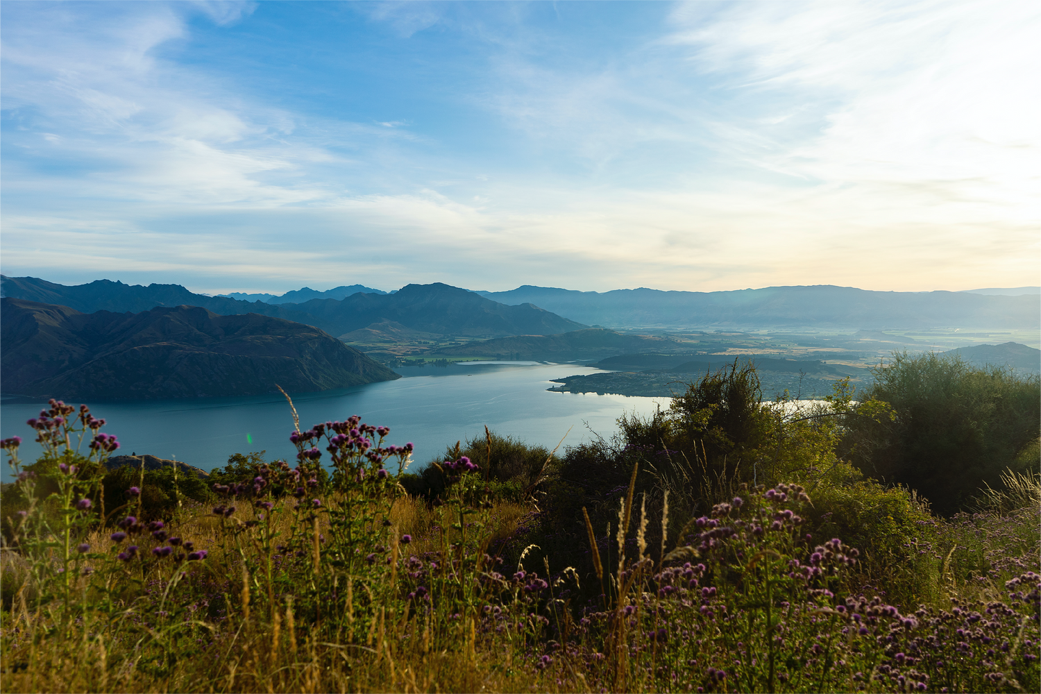 New Zealand Walks