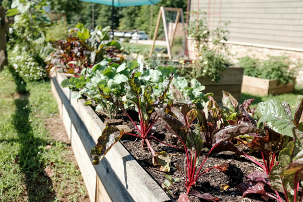 Spring Gardening