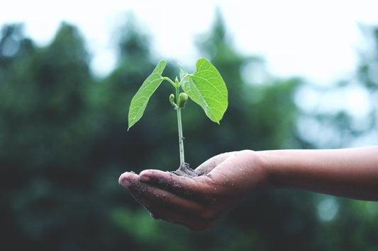 Everyday is Earth Day